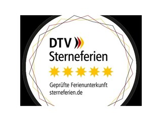 DTV Logo
