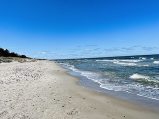 Appartement de vacances Zingst Enregistrement extérieur 4