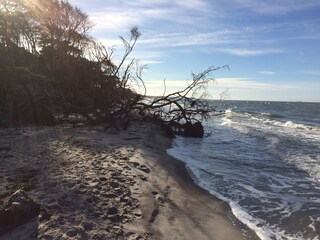 Appartamento per vacanze Zingst Ambiente 22