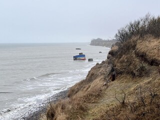 Appartement de vacances Zingst Environnement 25