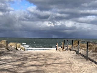 Appartement de vacances Zingst Environnement 24