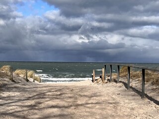 Vakantieappartement Zingst Omgeving 24