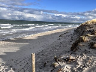 Vakantieappartement Zingst Omgeving 26