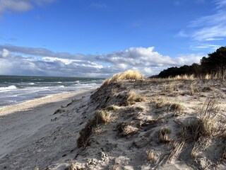 Apartamento de vacaciones Zingst Grabación al aire libre 9