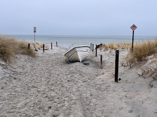 Vakantieappartement Zingst Omgeving 27