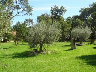 Casa per le vacanze Poggio-Mezzana Registrazione all'aperto 4