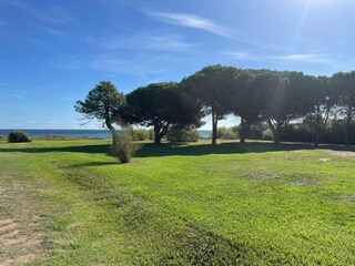 Maison de vacances Poggio-Mezzana Environnement 17
