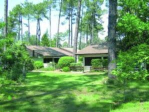 Ferienpark Bungalow mit Terrasse 5 km vom See entfernt - Saint-Julien-en-Born - image1