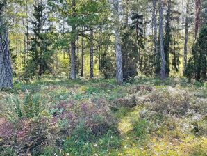 6 Personen Ferienhaus in Vingåker - Vingåker - image1