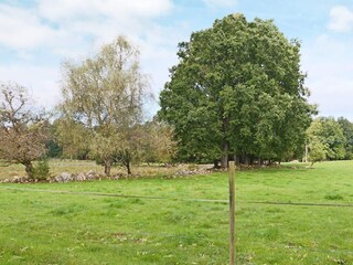 Ferienhaus Våxtorp Außenaufnahme 4