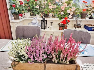 Ferienhaus Stockholm Außenaufnahme 5