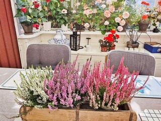 Ferienhaus Stockholm Außenaufnahme 6
