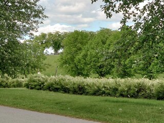 Holiday house Stockholm  31