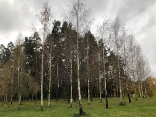 Vakantiehuis Stockholm  18