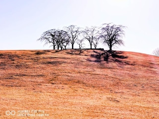 Ferienhaus Stockholm  19