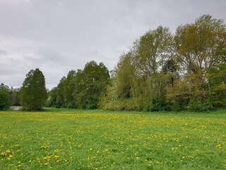 Vakantiehuis Stockholm  22