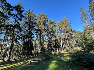 Ferienhaus Stockholm  28