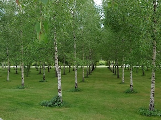 Ferienhaus Stockholm  23