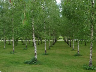 Holiday house Stockholm  23