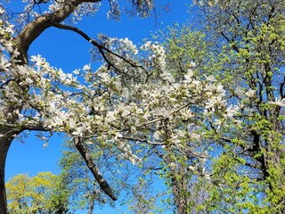 Holiday house Stockholm  24