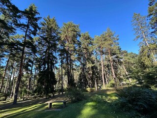 Ferienhaus Stockholm  22