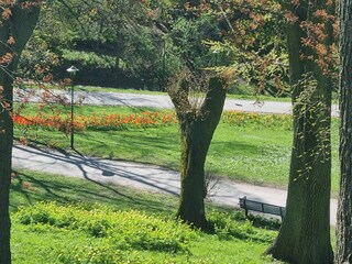 Ferienhaus Stockholm  23