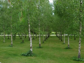 Ferienhaus Stockholm  10