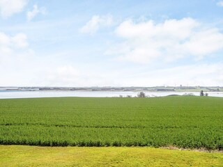 Casa de vacaciones Boddum Grabación al aire libre 4