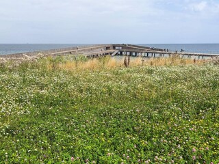 Maison de vacances Als  22