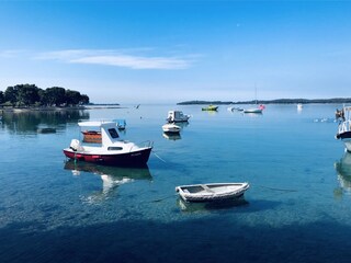 Appartamento per vacanze Peroj Ambiente 36