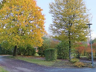 Ferienhaus Landeryd Außenaufnahme 6
