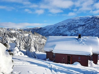 Ferienhaus Welt Außenaufnahme 7