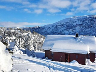 Holiday house Welt Outdoor Recording 7