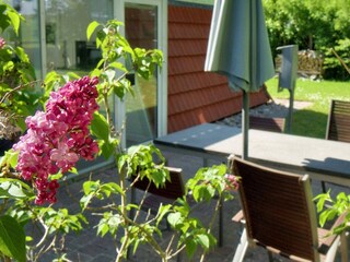 Vakantiehuis Gilleleje  13