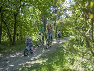 Parc de vacances Borger Environnement 16