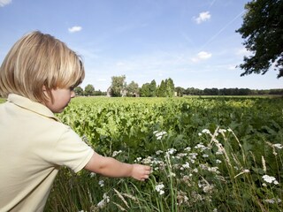 Vakantiepark Borger Omgeving 14