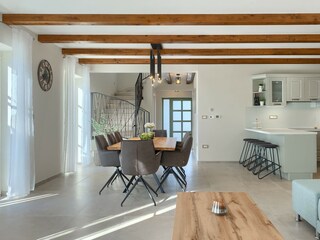 Villa Tinjan Caratteristiche 21