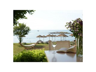 Villa Labinci  38
