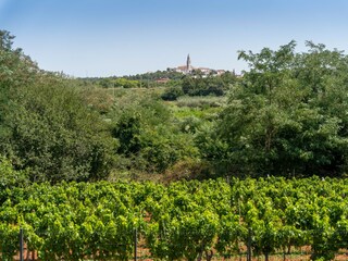 Villa Labinci Omgeving 30