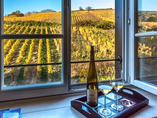 Appartamento per vacanze Riquewihr Caratteristiche 6