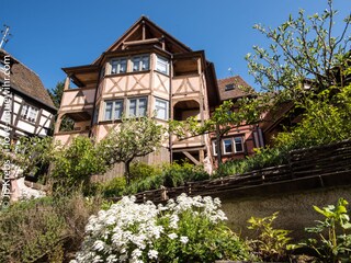 Appartamento per vacanze Riquewihr Registrazione all'aperto 2