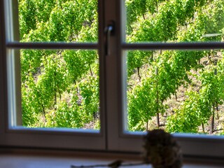 Appartamento per vacanze Riquewihr Caratteristiche 14