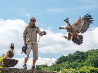 Appartamento per vacanze Riquewihr Ambiente 22