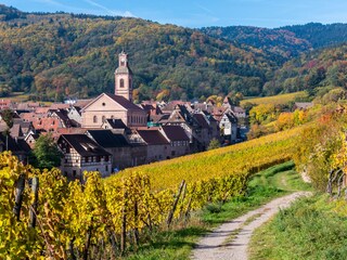 Apartamento de vacaciones Riquewihr Entorno 16