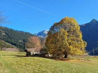 Herbst im Lechtal