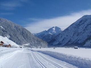 Langlaufen in Holzgau