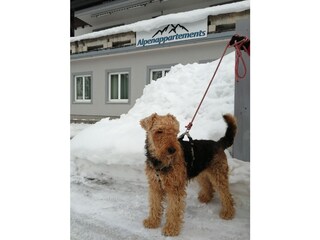 Appartamento per vacanze Bad Gastein Registrazione all'aperto 2