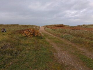 Vakantiehuis Thorup Strand  15