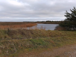 Maison de vacances Thorup Strand  20