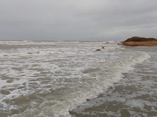 Maison de vacances Thorup Strand  52